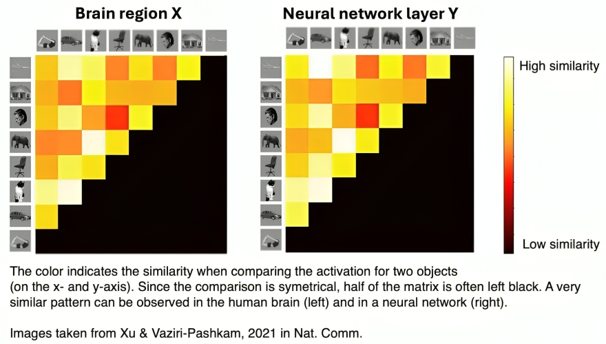 AI vs Human Cognition